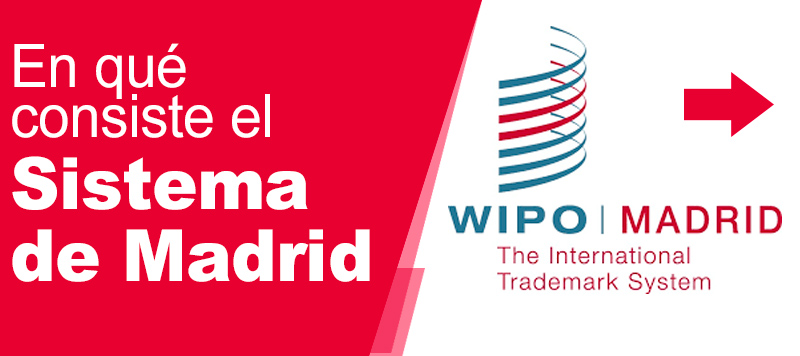 Empresa de vigilancia de marcas